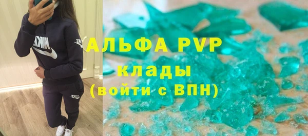 сатива Каменногорск
