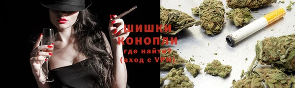 сатива Каменногорск