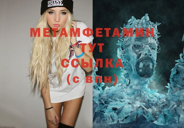 сатива Каменногорск