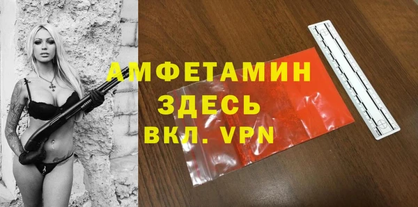 сатива Каменногорск