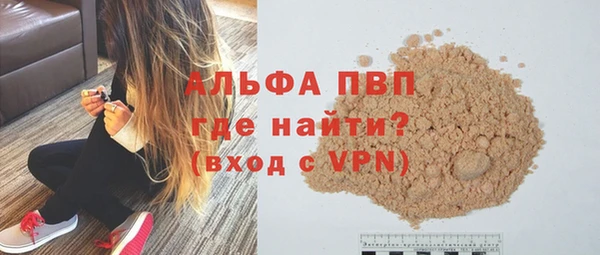 сатива Каменногорск