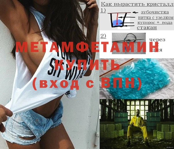 сатива Каменногорск