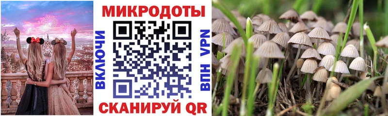 Купить закладки  Навашино  Псилоцибиновые грибы прущие грибы 